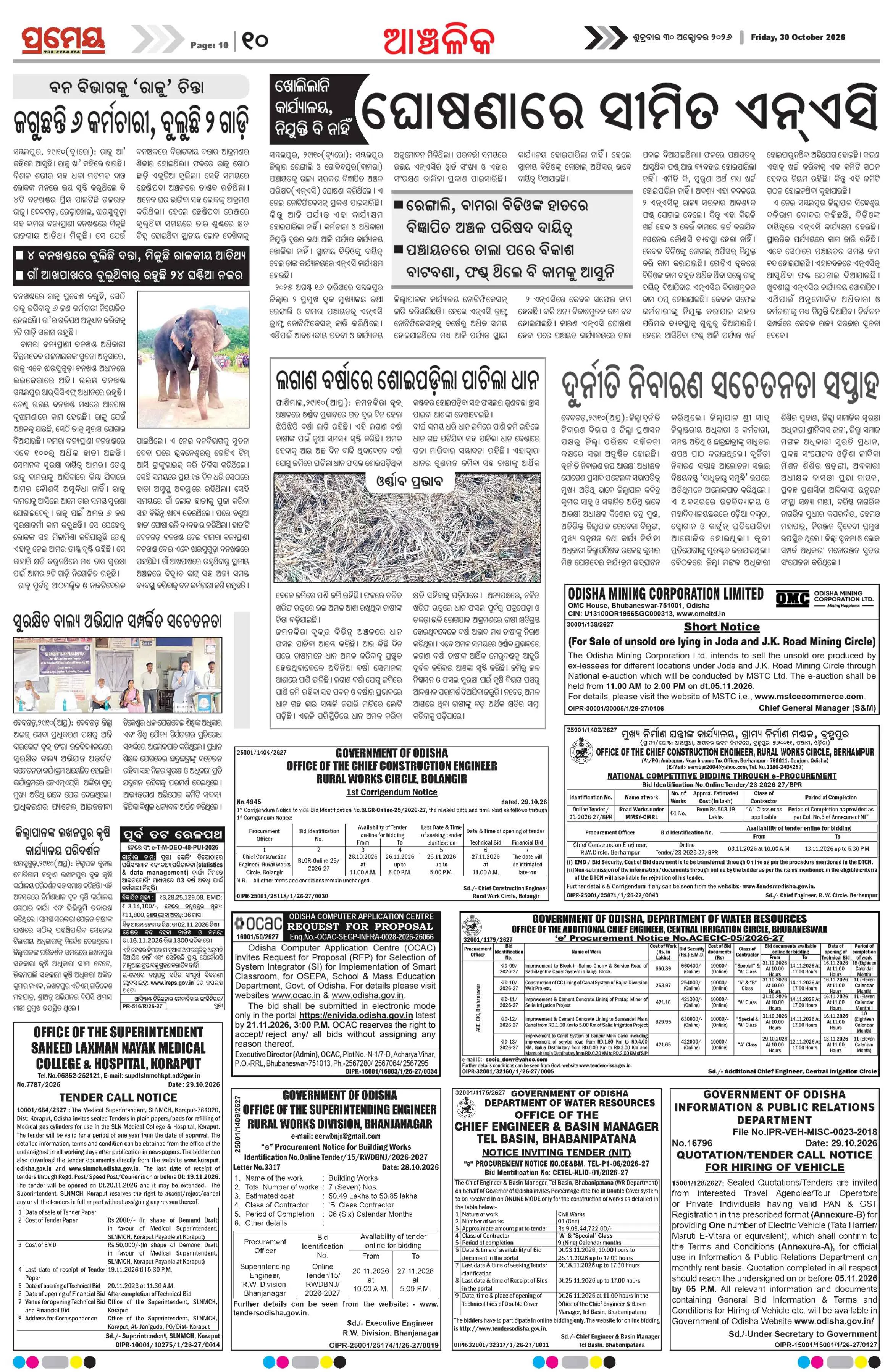 Page 10