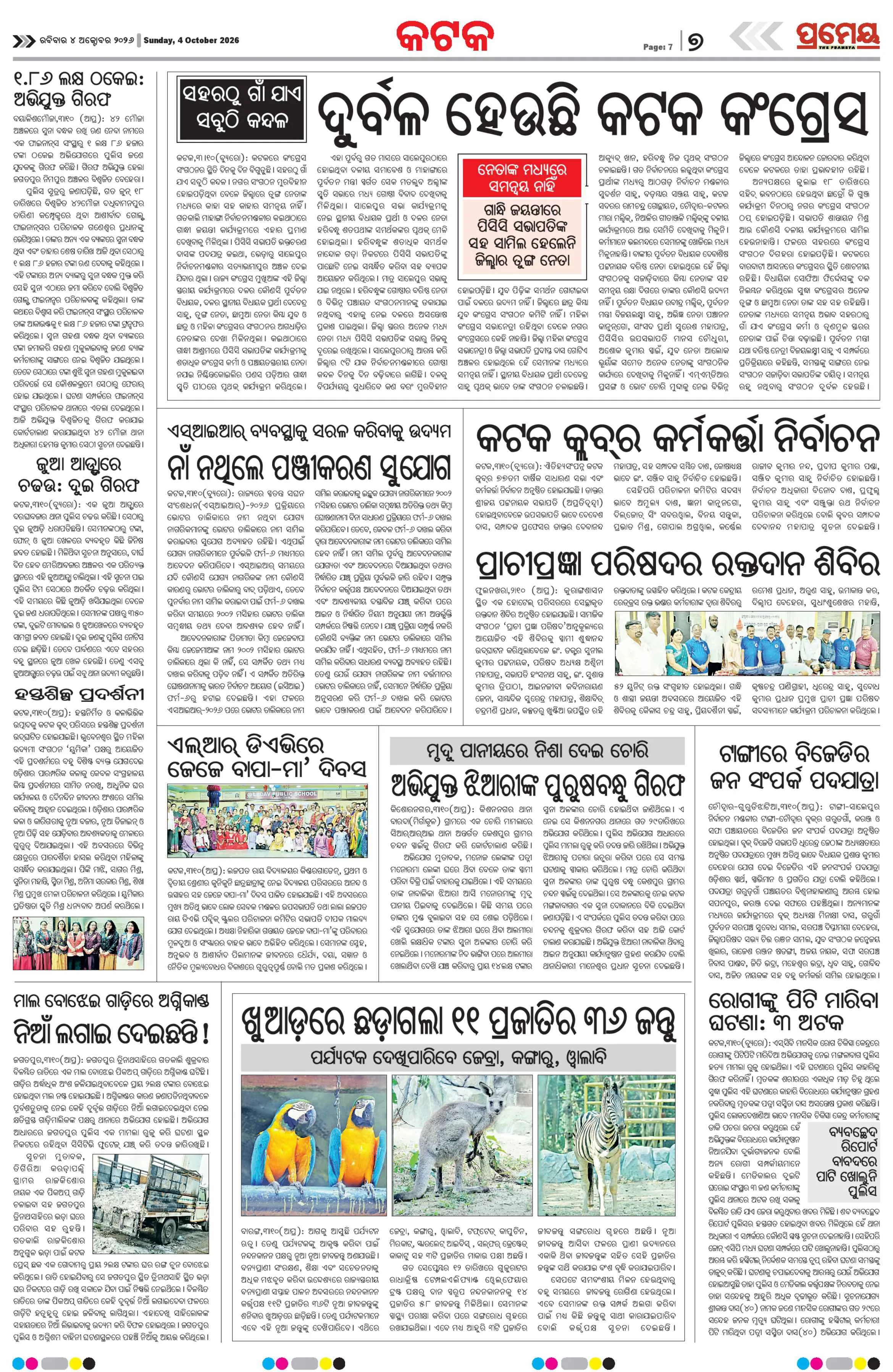 Page 7
