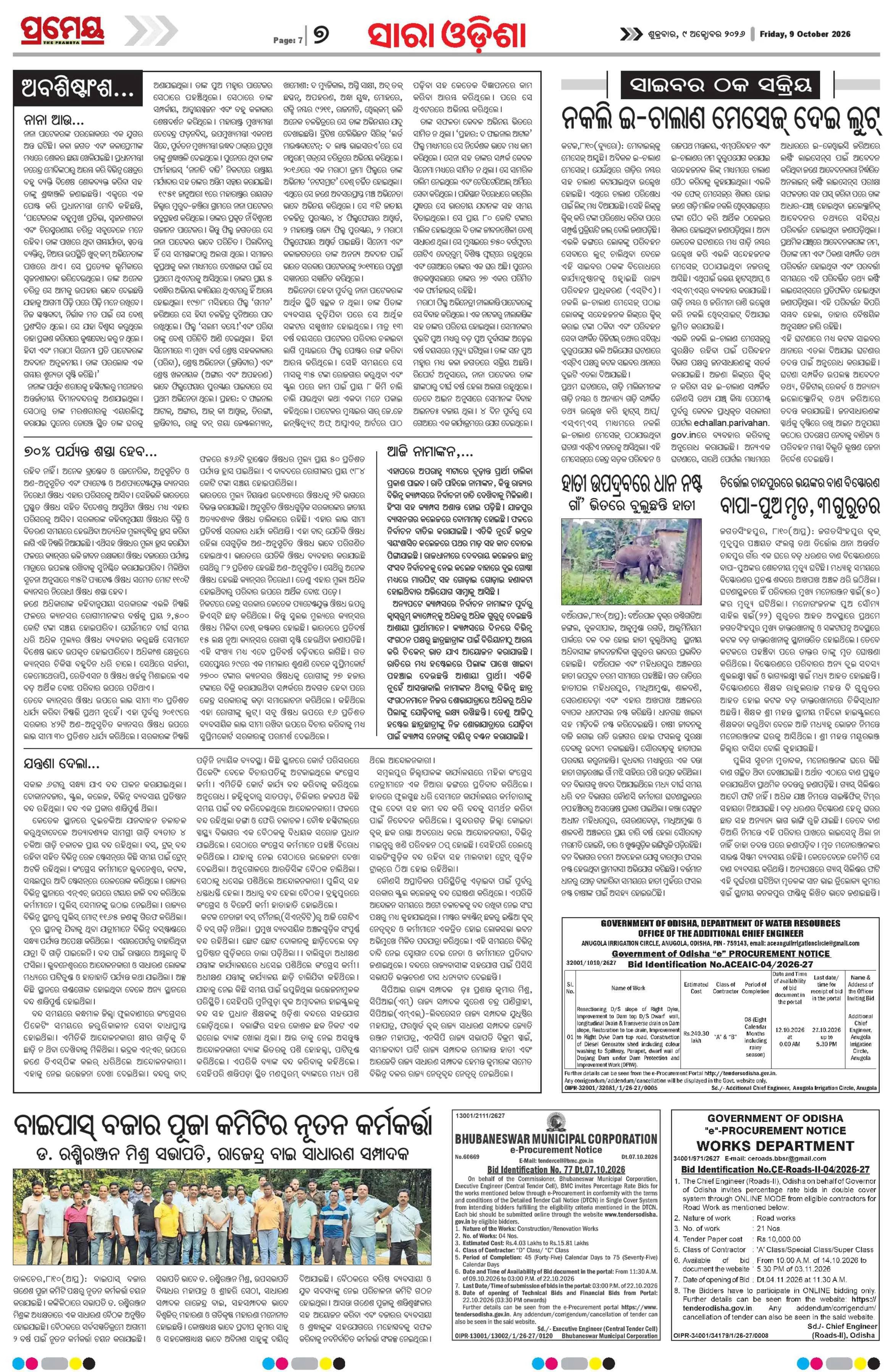 Page 7