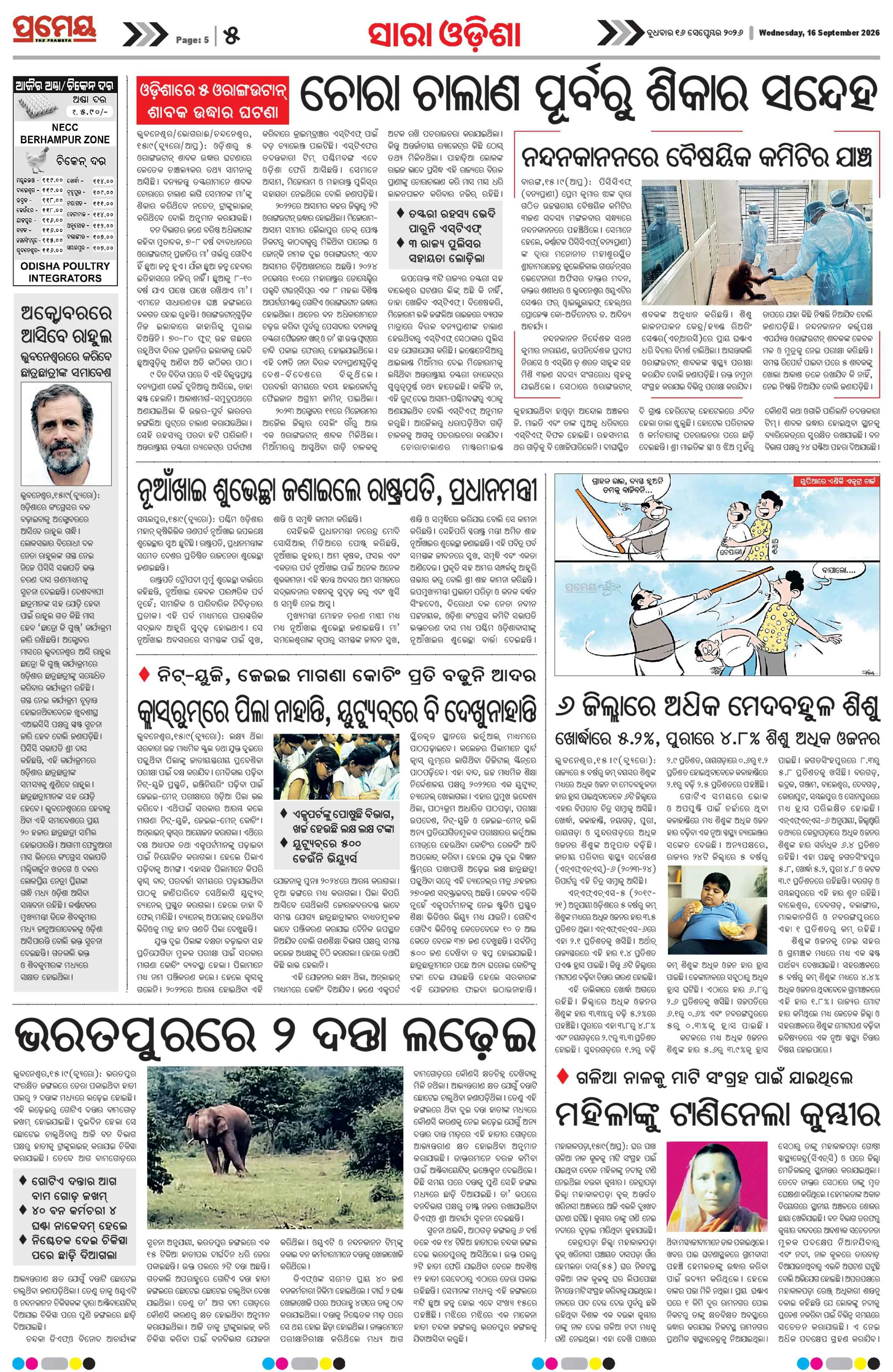 Page 5