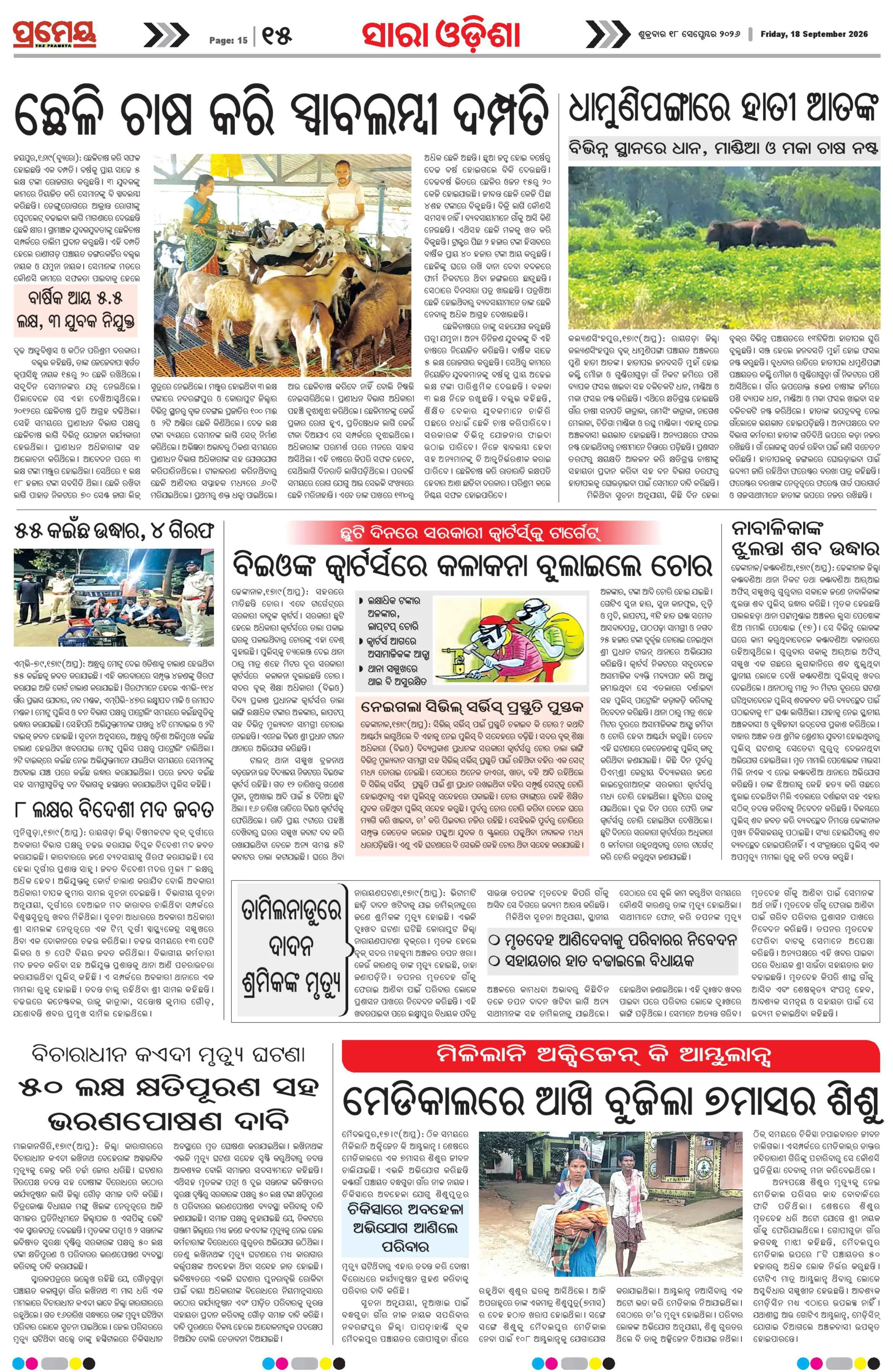 Page 15