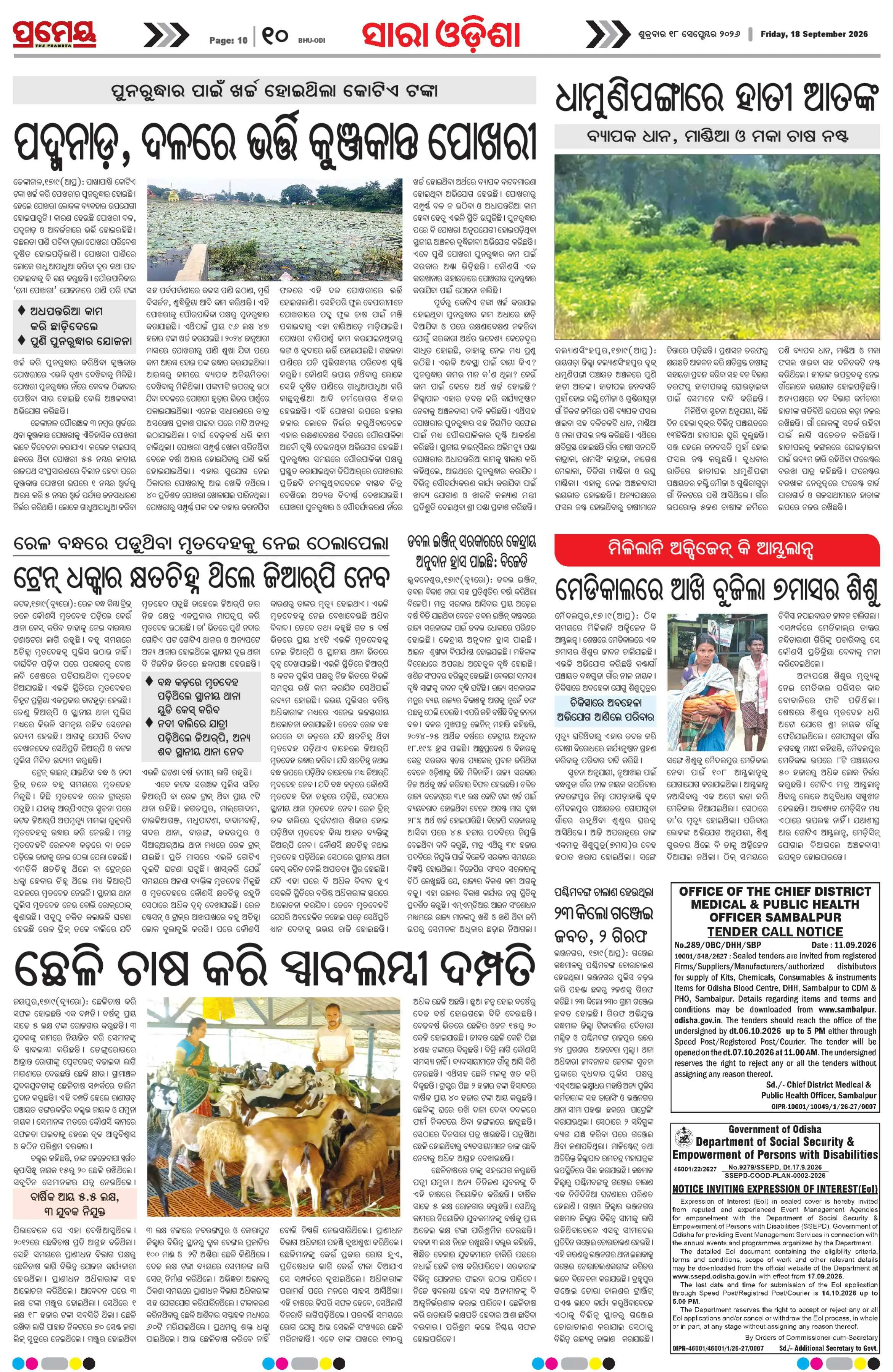 Page 10
