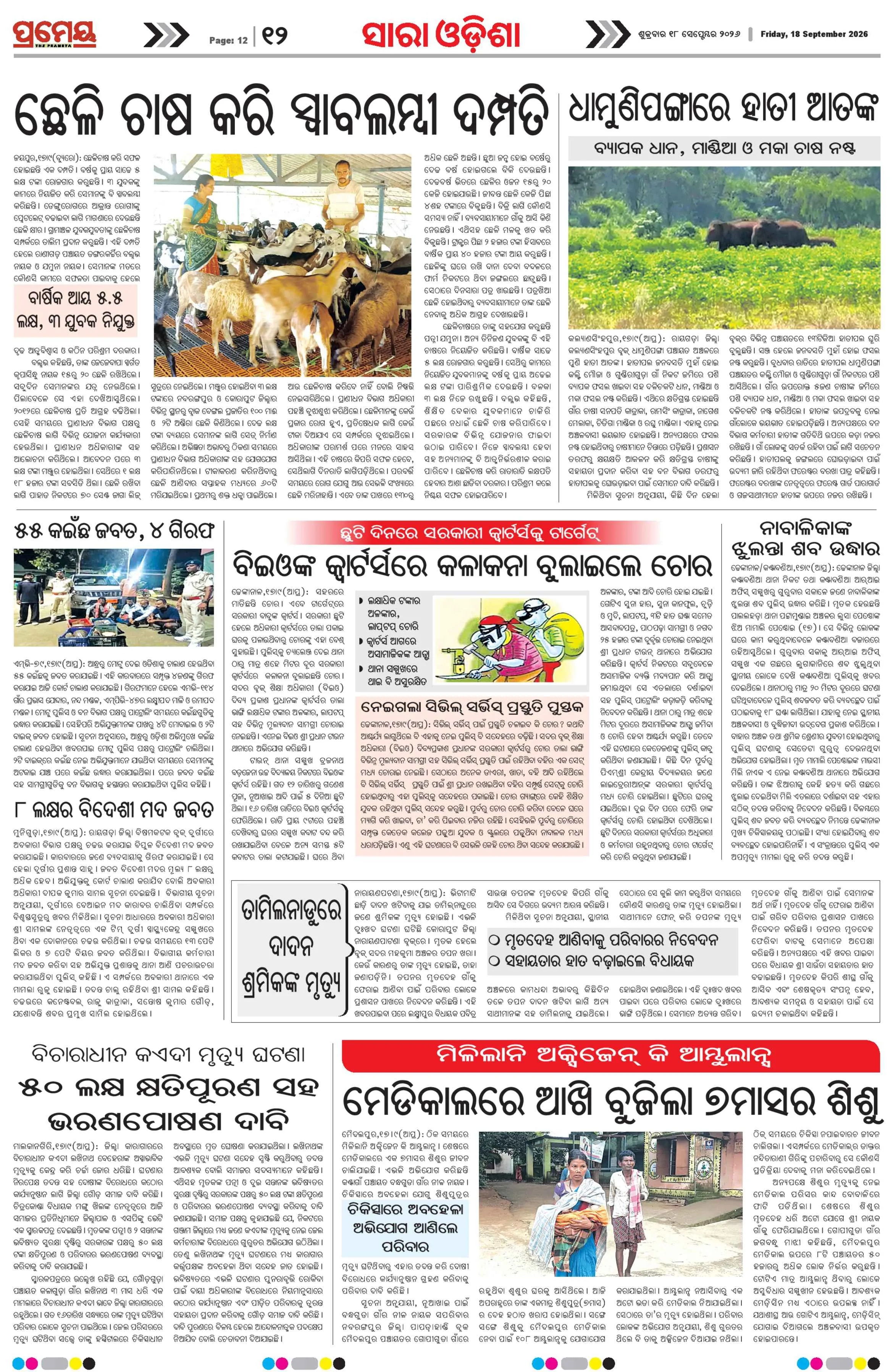 Page 12