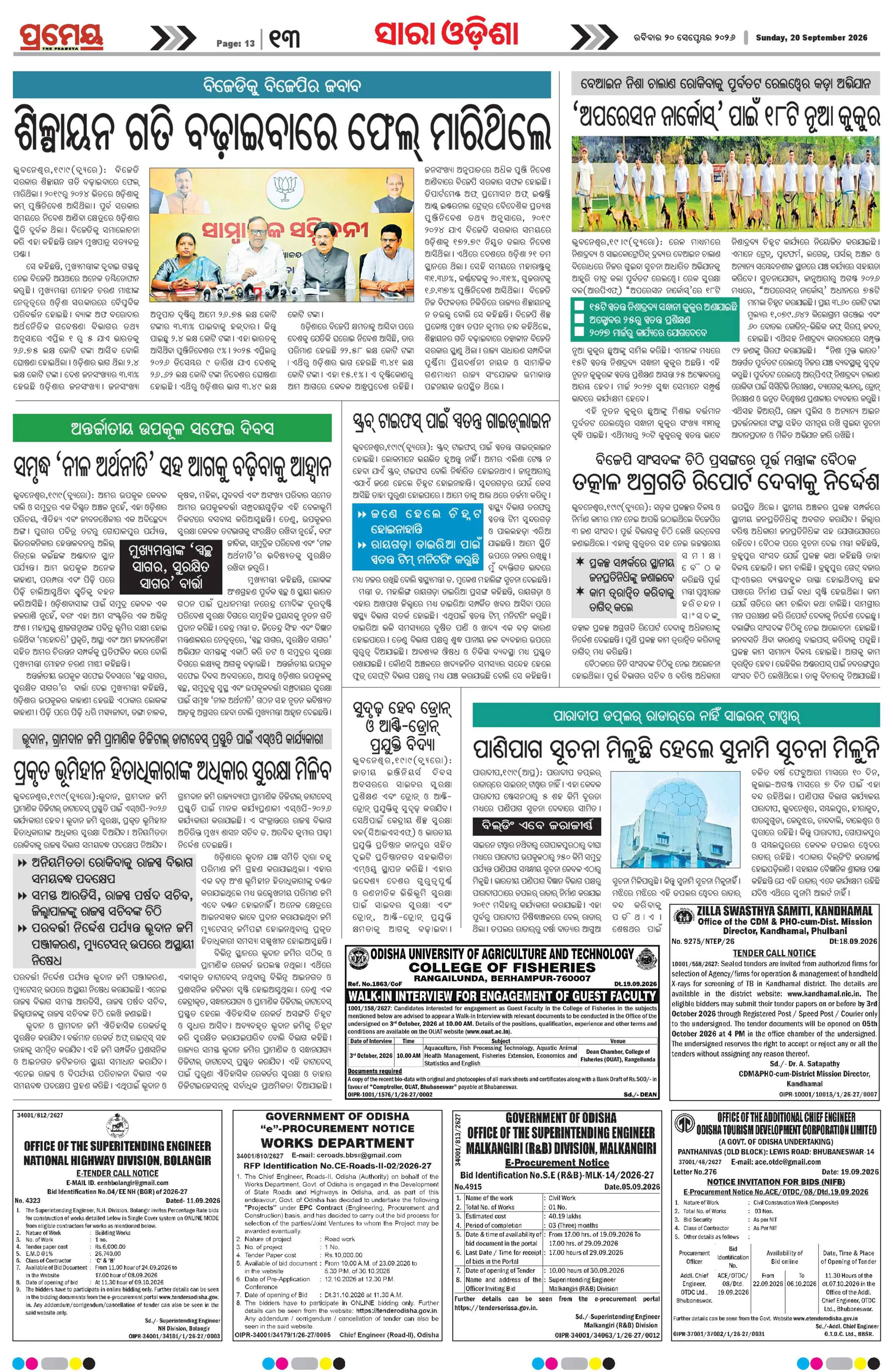 Page 15