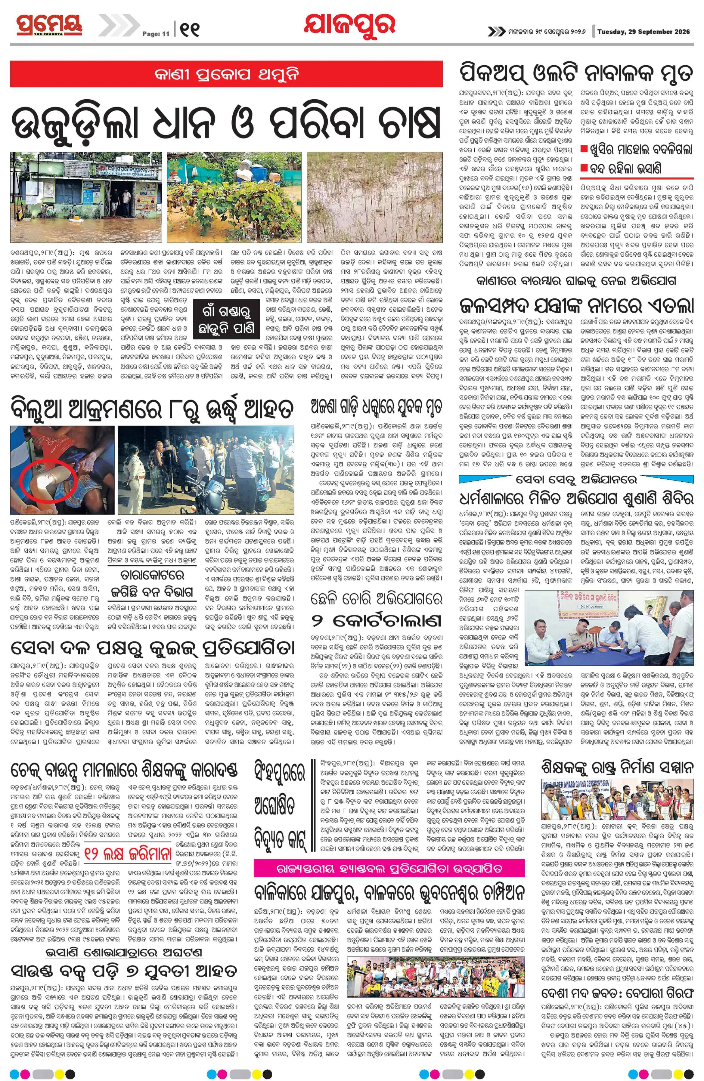 Page 11